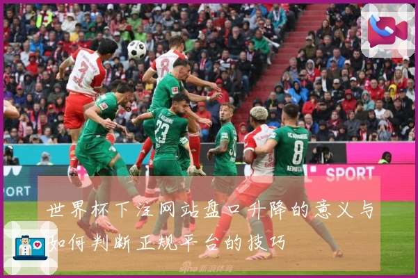 世界杯下注网站盘口升降的意义与如何判断正规平台的技巧