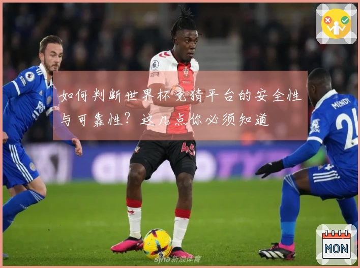 如何判断世界杯竞猜平台的安全性与可靠性？这几点你必须知道