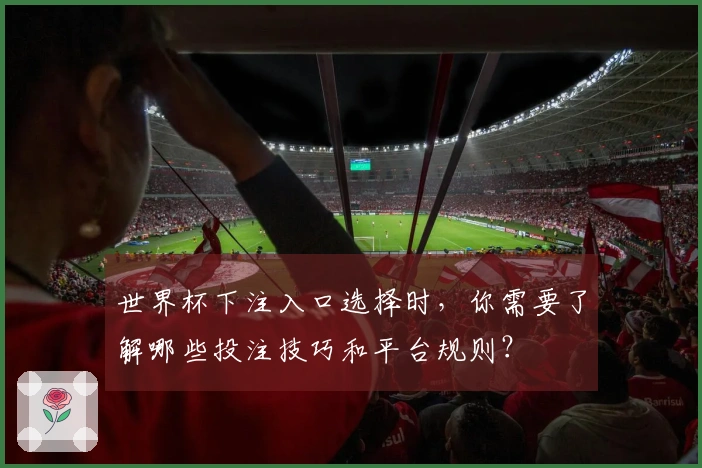 世界杯下注入口选择时，你需要了解哪些投注技巧和平台规则？