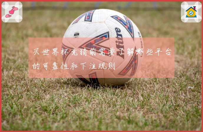 买世界杯竞猜前需要了解哪些平台的可靠性和下注规则