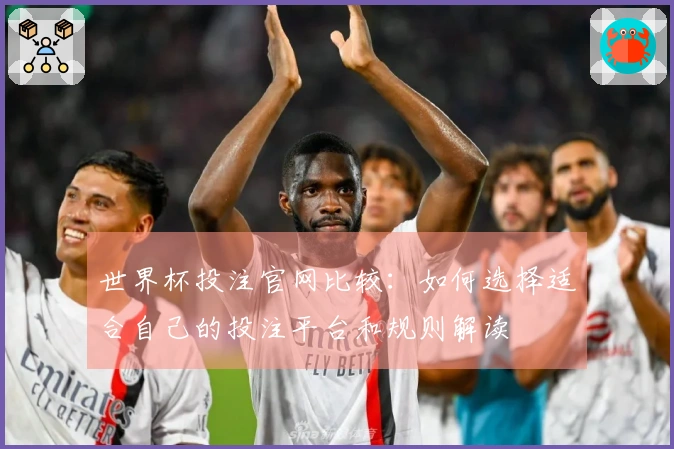 世界杯投注官网比较：如何选择适合自己的投注平台和规则解读