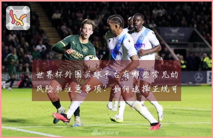 世界杯外围买球平台有哪些常见的风险和注意事项？如何选择正规可靠的平台？