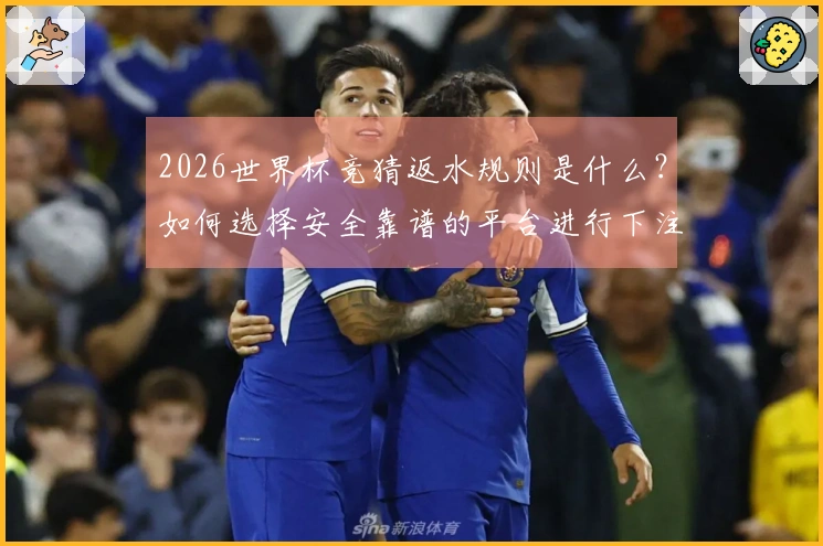 2026世界杯竞猜返水规则是什么？如何选择安全靠谱的平台进行下注