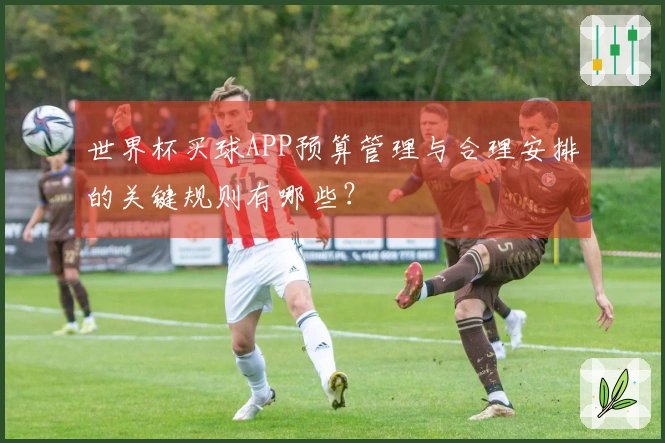 世界杯买球APP预算管理与合理安排的关键规则有哪些？