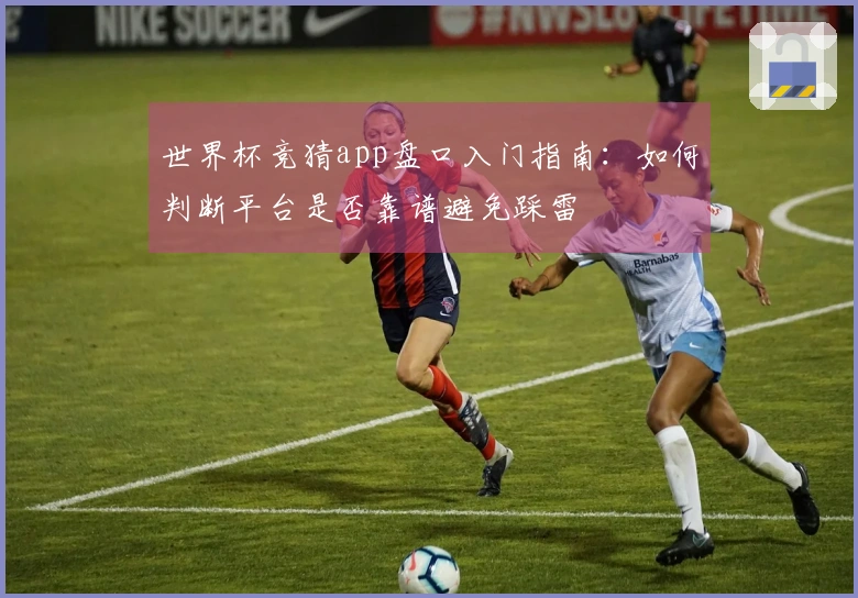 世界杯竞猜app盘口入门指南：如何判断平台是否靠谱避免踩雷
