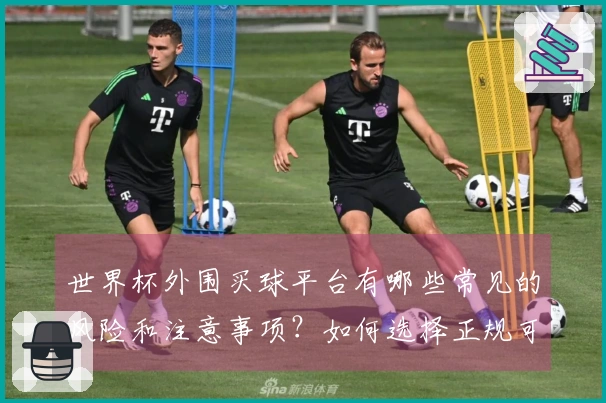 世界杯外围买球平台有哪些常见的风险和注意事项？如何选择正规可靠的平台？