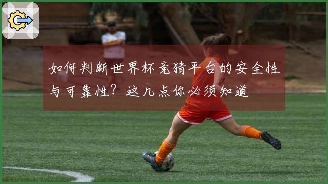 如何判断世界杯竞猜平台的安全性与可靠性？这几点你必须知道